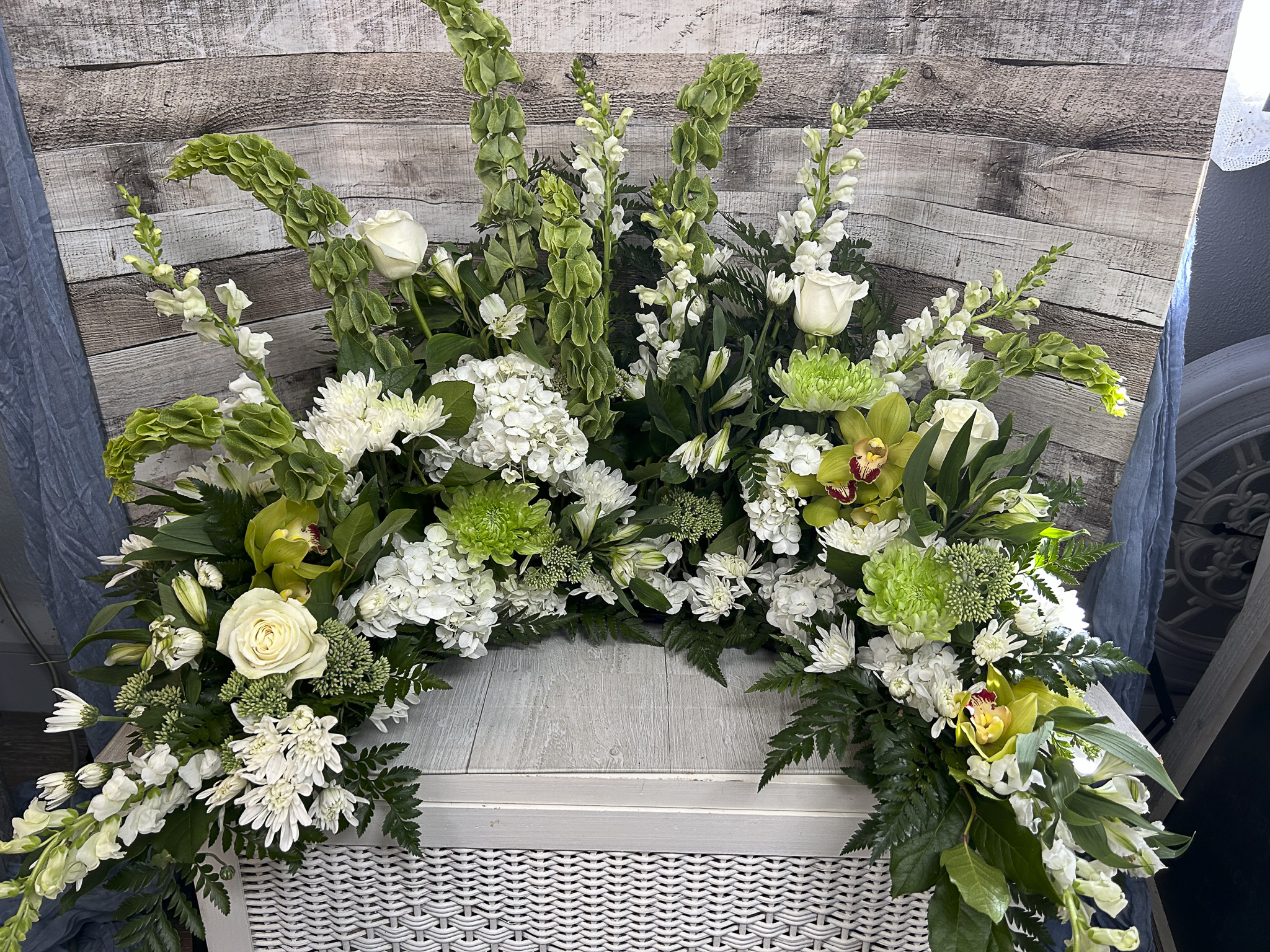 Photo Aug 23 2024, 2 42 40 PM